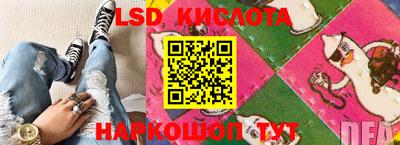 амф Шахты