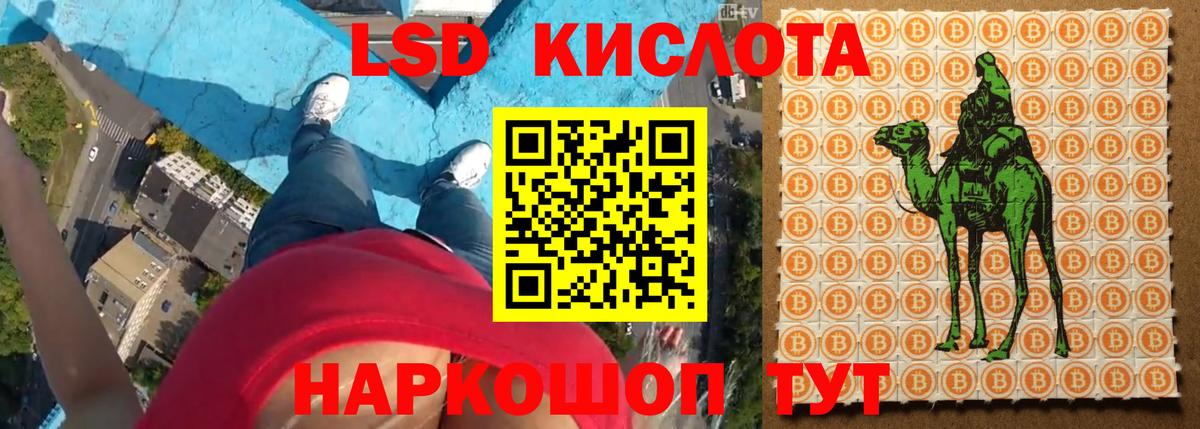 ЛСД экстази ecstasy  Вход с VPN  Новоалтайск  LSD-25 экстази ecstasy 