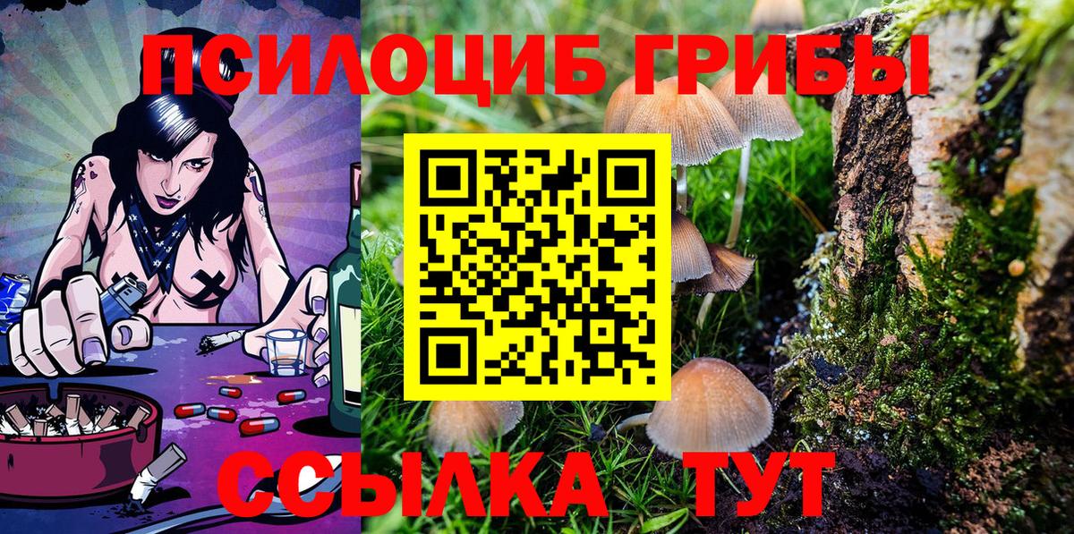 Псилоцибиновые грибы MAGIC MUSHROOMS  закладка  Новоалтайск  Вход с VPN 