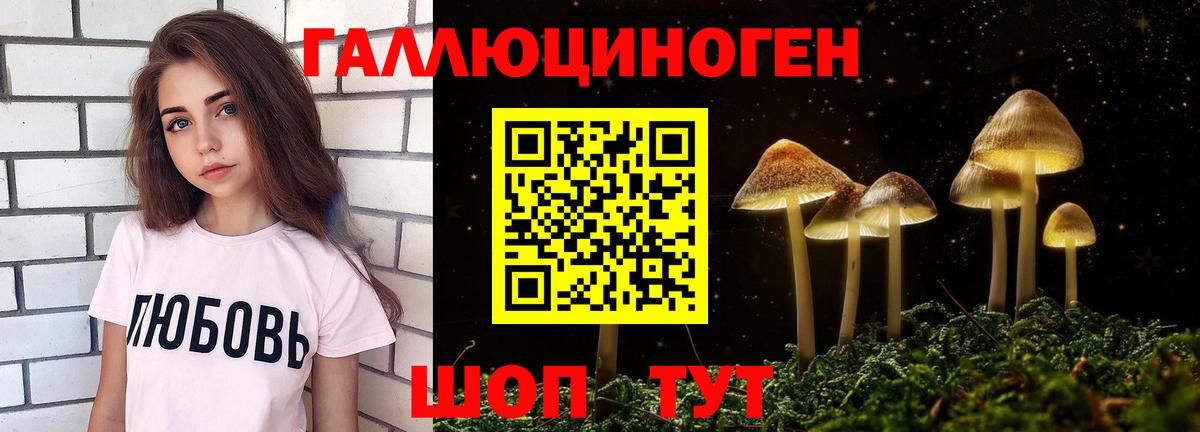 Псилоцибиновые грибы MAGIC MUSHROOMS Новоалтайск